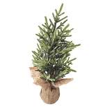 Northlight 16.5" Frosted Ice Pine Tree in Natural Jute Base Christmas Decoration