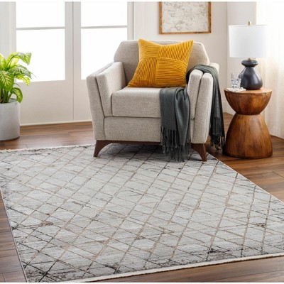 Hauteloom Luol Light Gray Area Rug