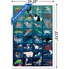 Trends International Wild Kratts - Grid Framed Wall Poster Prints - 3 of 4