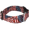 Country Brook Petz 1 1/2 Inch Deluxe Dog Collar - Americana Collection - 3 of 4