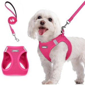 rabbitgoo Dog Harness Small Sized and Leash Set, Step in Soft Light Puppy Pet Harness, Reflective for Safe Easy Walking, Rose Red M - 1 of 1