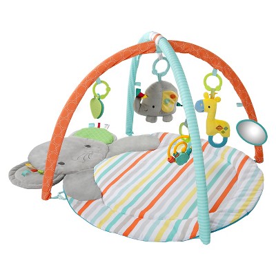 target play gym