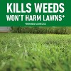 Roundup For Lawns Northern Ready to Use Extended Wand Herbicide - 1gal : Weed & Root Eliminator, 3-Month Control, Rainproof - 3 of 4