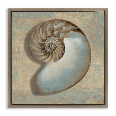 Stupell Industries Shell Beach Objects Design, 25" x 25"