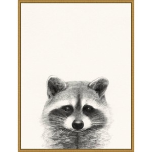 18" x 24" Animal Mug II Raccoon by Victoria Borges Framed Canvas Wall Art Gold - Amanti Art: Modern Decor, Polystyrene Frame - 1 of 4