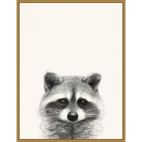 AA: Optical Illusion & Raccoon