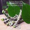 Organic Guduchi Powder 8 Oz - 3 of 3