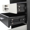 Sevobal Utility Storage Cabinets Salon Styling Cabinet with 2 Drawers, 2 Hair Dryer Holders and 1 Cabinet, Moveable Cabinet with Wheels, Multicolored, - 3 of 4