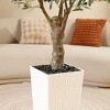 UV Resistant 6-7FT Artificial Olive Tree with White Tall Planter and Thick Trunk, Pre Potted Fake Tree for Indoor and Outdoor House Decor - 4 of 4