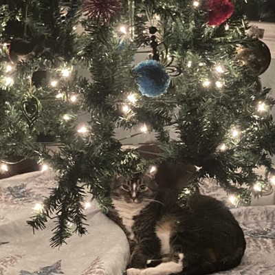 Guest review image 1 of 2, zoom in