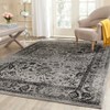 Adirondack ADR109 Non-Shedding Power Loomed Indoor Rugs - Safavieh - 2 of 4