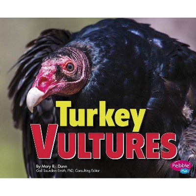 Turkey Vultures - (Birds of Prey) by  Mary R Dunn (Paperback)