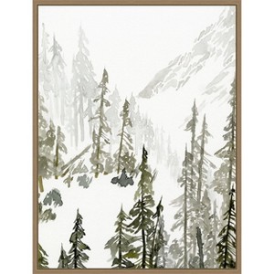 Amanti Art Continental Divide II by Jacob Green Canvas Wall Art Print Framed - 1 of 4