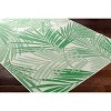 Hauteloom Jaala Green Palm Tropical Area Rug - 4 of 4