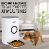 Pawple Automatic Pet Feeder, Cat & Dog Food Dispenser Bowl - 4 of 4