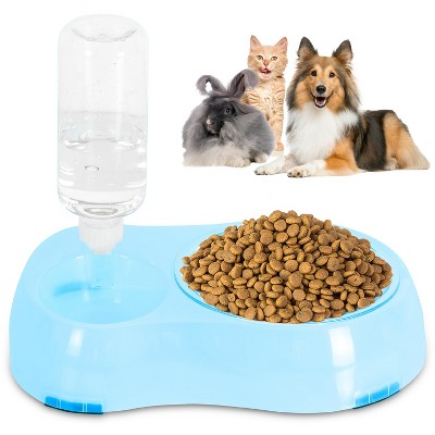 Elevated Double Transparent Slow Feeder Bowl with Water Bottle