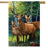 Briarwood Lane Summer House Flag 40x28 For Outdoor Deer Family House Flag Flag For Summer House Flag - 2 of 4