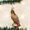 Old World Christmas Glass Blown Christmas Ornament, Red Tailed Hawk - 2 of 4