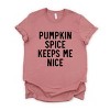 Simply Sage Market Pumpkin Spice Keeps Me Nice Short Sleeve Tee - 2 of 4