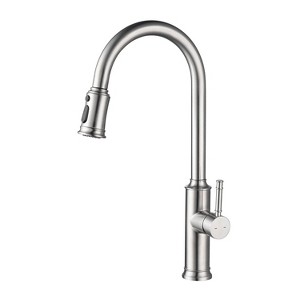 DOMETOUR Kitchen Faucet with Pull Out Spraye - 1 of 4
