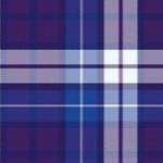 dark purple plaid