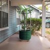 Vego Garden Self-Watering Rolling Dragon Fruit Outdoor Planter Pot with Trellis 24"x24"x60" - 2 of 3