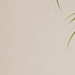 wood color-single wave