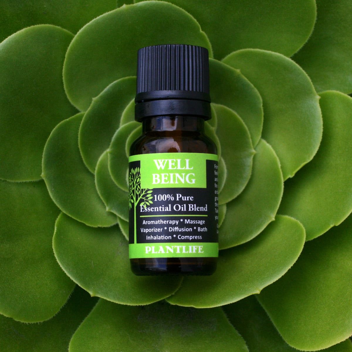 Plantlife Well Being Aromatherapy Essential Oil Blend – 100% Pure, Therapeutic Grade, No Additives or Fillers, Made in California, 10 ml - thumbnail 4