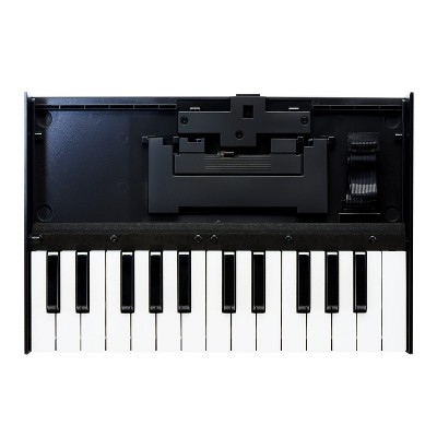 Roland K-25M 25-Key Boutique Module Dock USB MIDI Portable Keyboard, 12-Inch