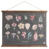 Scientific Unframed Botanicals Linen and Wood Scroll Black - Storied Home - image 3 of 4