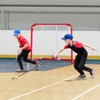 VEVOR Youth Street Hockey Net, Indoor Outdoor Steel Hockey Goal, Portable Lightweight Youth Street + Roller for Kids - 2 of 4