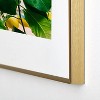 Bethany Young Photography Amalfi Coast Lemons 13"x19" Gold Metal Framed Art Print - Deny Designs - 4 of 4
