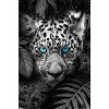 Trends International Reinders: Animals - Blue Eyed Leopard Unframed Wall Poster Prints - 4 of 4