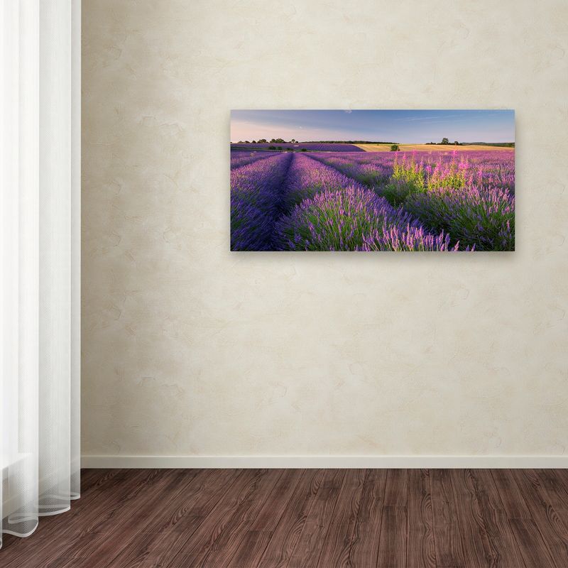 Trademark Fine Art -Adam Burton 'Pink & Purple' Canvas Art, 3 of 4