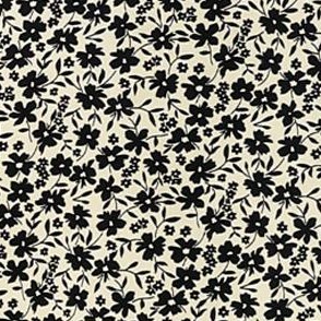 apricot black