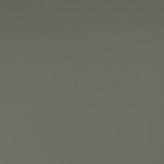 white/light brown