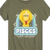 Boys' - Sesame Street - Pisces Big Bird Short Sleeve Graphic T-Shirt - 2 of 4