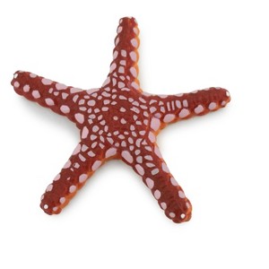 Collectible Wildlife Gifts | Starfish, Marble, Sea Star, Echinoderms, Asteroidea, Ocean, Sea Life, Plastic,  Toy, Gift,  2 1/4"   F928 B158 - 1 of 4