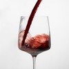 Viski Set Of 4 Reserve Julien Crystal Coupe Glasses In Transparent