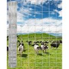 Galvanized Wire Fencing for Cattle Farm - Heavy Duty Livestock Fence for Goat, Deer, Hog, Yard Animal Enclosure & Protection - 2 of 4