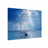 Trademark Fine Art Mircea Costina Whale and Sun Rays Wood Slat Art - image 2 of 4