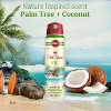 Old Spice Men's 4.3oz Fiji Antiperspirant & Deodorant + 3oz Wildnerness Deodorant - 2 of 4