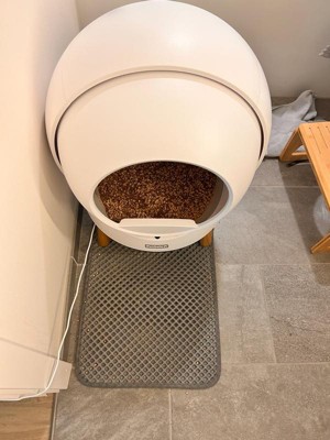 Guest review image 2 of 2, zoom in