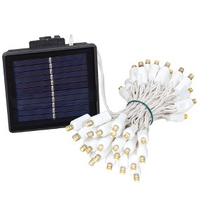 Novelty Lights 50 Light Solar LED Christmas Mini Light Set Warm White Outdoor String Lights White Wire 12.5 Feet