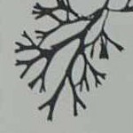 lightgray, mediumgray