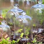 Park Hill Collection Bell Jar, Small