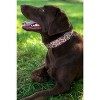 Country Brook Petz Martingale Dog Collar - Animal Prints Collection - 2 of 4