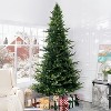 Home Imports Emporium Lujan Prelit Artificial Christmas Tree, Realistic Nordic Christmas Tree with Lights, Green - 3 of 4