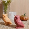 JDICTION 3D Animal & Owl Silicone Mold Set - Resin Candle Molds For Home Decor And DIY Craft Making - 3 of 4
