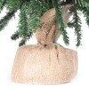 Vickerman Anoka Pine Artificial Christmas Tabletop Tree - image 3 of 4